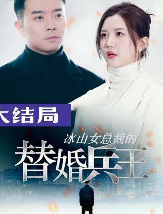 冰山总裁的替婚兵王第04集