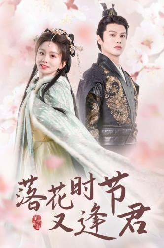 落花时节又逢君第40集