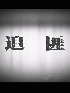 追匪第22集(大结局)