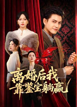 离婚后我靠鉴宝躺赢(全集)